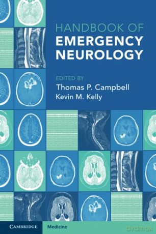 Handbook Of Emergency Neurology - Edited By Thomas P. [KSIĄŻKA]