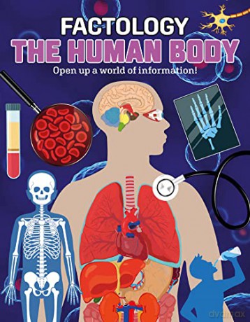 Factology Human Body - Button Books [KSIĄŻKA]