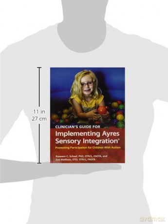 Clinician S Guide To Implementing Ayres [KSIĄŻKA]
