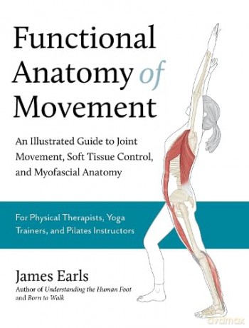 Functional Anatomy Of Movement [KSIĄŻKA]