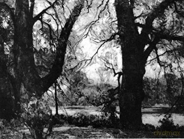 Guide To Landscape Painting - J.F. Carlson [KSIĄŻKA]