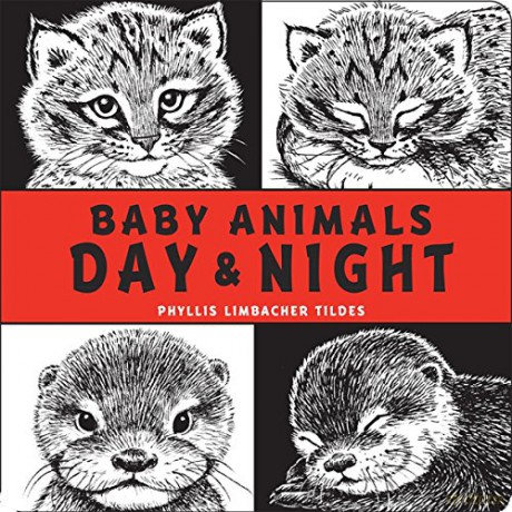 Baby Animals Day Night - Phyllis Limb Tildes [KSIĄŻKA]