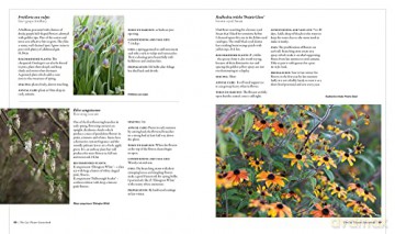 Cut Flower Sourcebook - Rachel Siegfried [KSIĄŻKA]