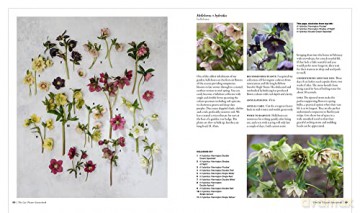 Cut Flower Sourcebook - Rachel Siegfried [KSIĄŻKA]