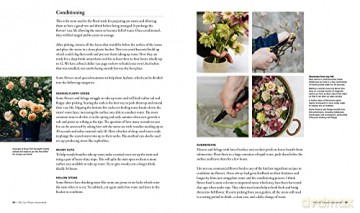 Cut Flower Sourcebook - Rachel Siegfried [KSIĄŻKA]
