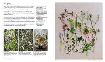 Cut Flower Sourcebook - Rachel Siegfried [KSIĄŻKA]