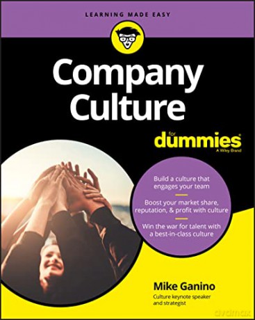 Company Culture For Dummies [KSIĄŻKA]