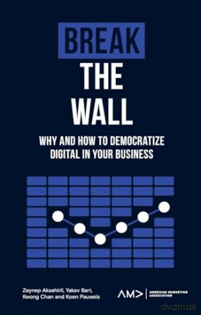 Break The Wall - Zeynep Aksehirli [KSIĄŻKA]