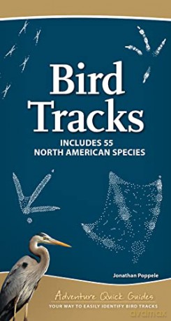 Bird Tracks [KSIĄŻKA]