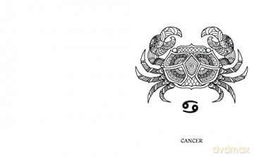Astrology Colouring Book - Tansy Willow [KSIĄŻKA]
