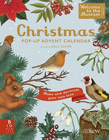 Christmas Pop Up Kalendarz Adwentowy W/Book - Rbg Kew [KSIĄŻKA]