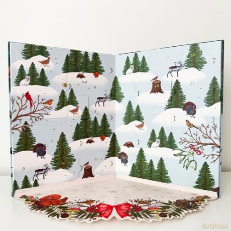 Christmas Pop Up Kalendarz Adwentowy W/Book - Rbg Kew [KSIĄŻKA]