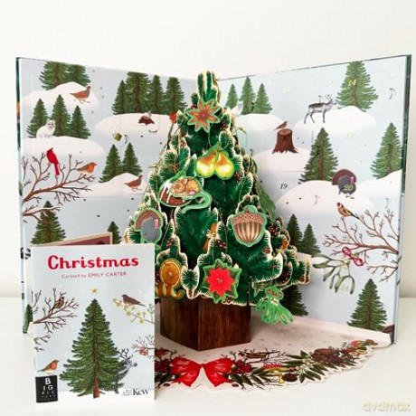 Christmas Pop Up Kalendarz Adwentowy W/Book - Rbg Kew [KSIĄŻKA]
