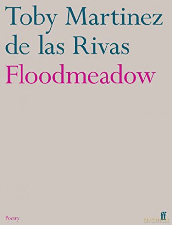 Floodmeadow - Martinez De La Riva [KSIĄŻKA]