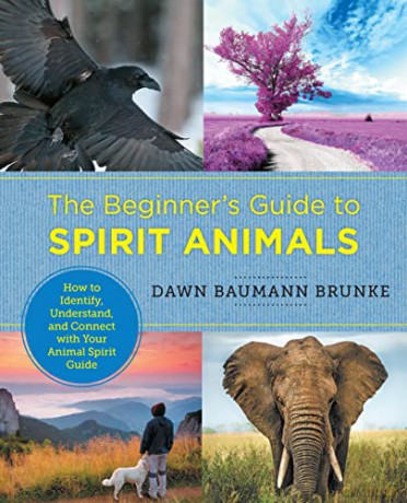 Beginners Guide To Spirit Animals - Dawn B Brunke [KSIĄŻKA]