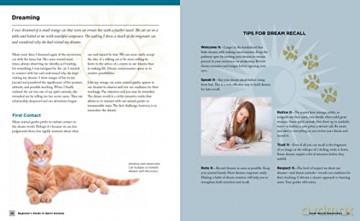 Beginners Guide To Spirit Animals - Dawn B Brunke [KSIĄŻKA]