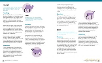 Beginners Guide To Spirit Animals - Dawn B Brunke [KSIĄŻKA]