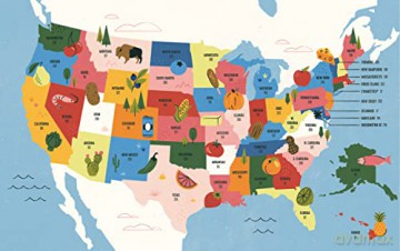 50 Pies 50 States - Stacey Mei Yan Fong [KSIĄŻKA]