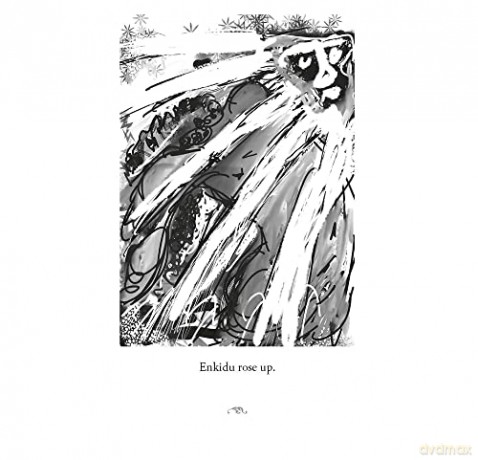 Folk Tales Of The Ever After - Fiona Collins [KSIĄŻKA]