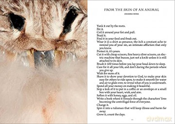 Animal Within - Manuela Ammer [KSIĄŻKA]