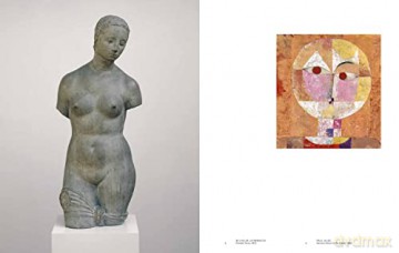 Castaway Modernism - Eva Reifert [KSIĄŻKA]