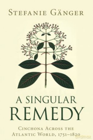 A Singular Remedy - G Nger Stefanie [KSIĄŻKA]