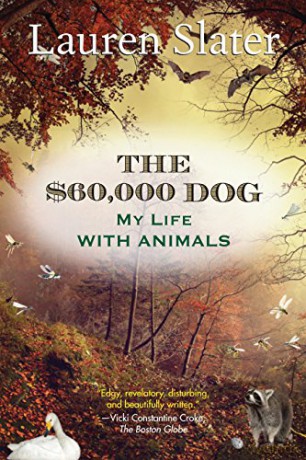 60 000 Dog - Slater Lauren [KSIĄŻKA]