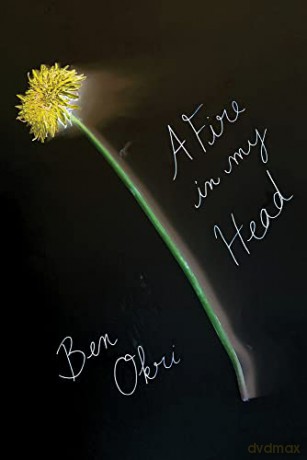 Fire In My Head - Ben Okri [KSIĄŻKA]