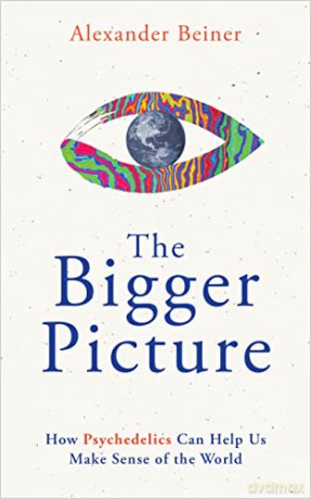 Bigger Picture - Alexander Beiner [KSIĄŻKA]