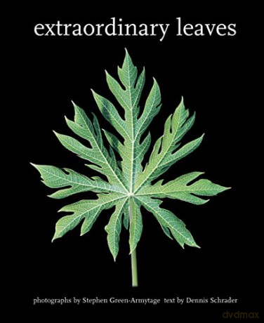 Extraordinary Leaves - Dennis Schrader [KSIĄŻKA]