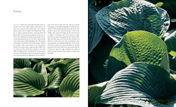 Extraordinary Leaves - Dennis Schrader [KSIĄŻKA]