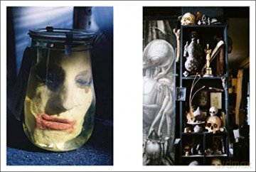 Hr Giger By Camille Vivier - Beda (Ed) Achermann [KSIĄŻKA]
