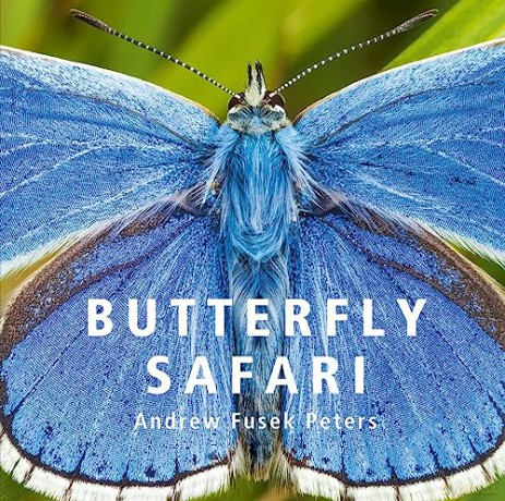 Butterfly Safari - Andrew Fusek-Peters [KSIĄŻKA]