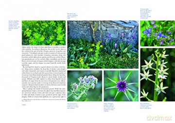 Gardens Of Corfu - Unknown [KSIĄŻKA]