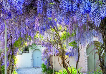 Gardens Of Corfu - Unknown [KSIĄŻKA]