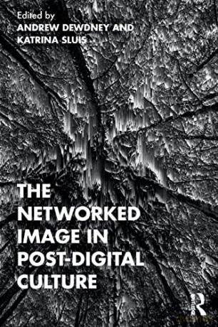 Dewdney - The Networked Image In Po - Andrew Dewdney [KSIĄŻKA]