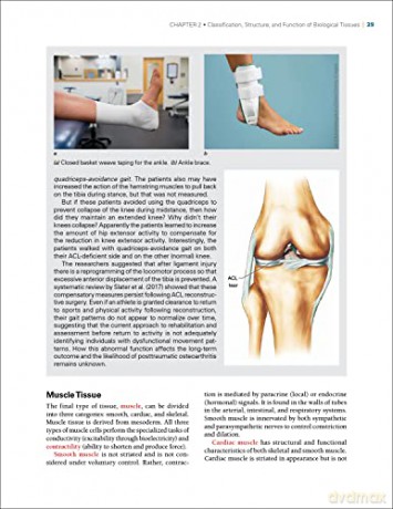 Biomechanics Of Injury - Ronald F. Zernicke [KSIĄŻKA]