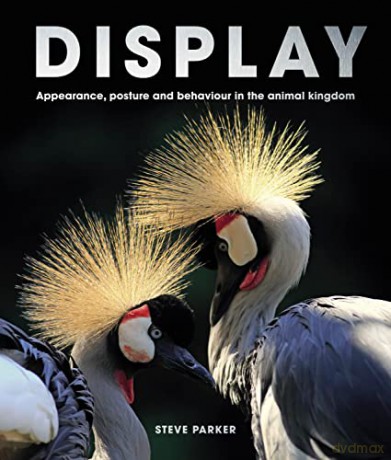 Display - Steve Parker [KSIĄŻKA]