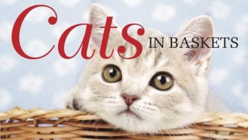 Cats In Baskets - Kat Scratching [KSIĄŻKA]