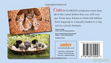 Cats In Baskets - Kat Scratching [KSIĄŻKA]