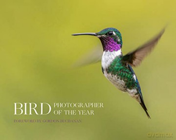 Bird Photographer Of The Year - Gordon Buchanan [KSIĄŻKA]