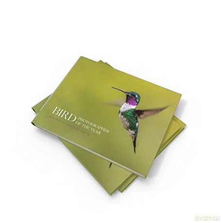 Bird Photographer Of The Year - Gordon Buchanan [KSIĄŻKA]