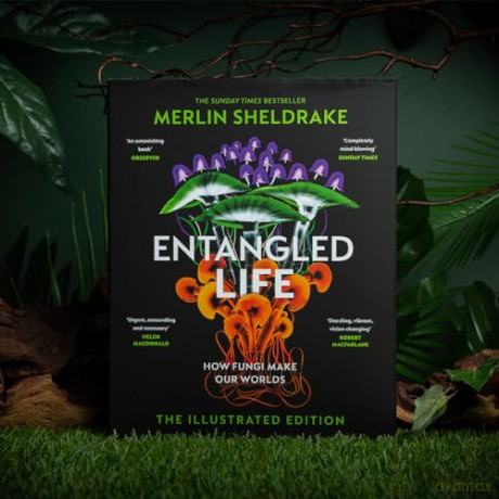 Entangled Life - Merlin Sheldrake [KSIĄŻKA]