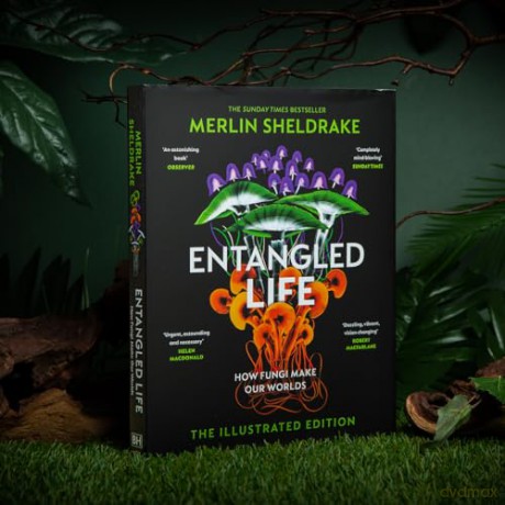 Entangled Life - Merlin Sheldrake [KSIĄŻKA]
