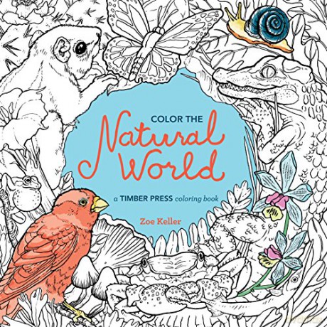 Color The Natural World - Zoe Keller [KSIĄŻKA]