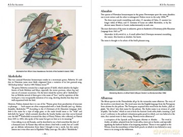 Bird Name Book - Susan Myers [KSIĄŻKA]