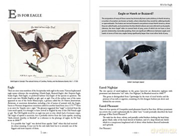 Bird Name Book - Susan Myers [KSIĄŻKA]