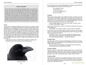 Bird Name Book - Susan Myers [KSIĄŻKA]