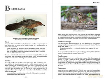 Bird Name Book - Susan Myers [KSIĄŻKA]