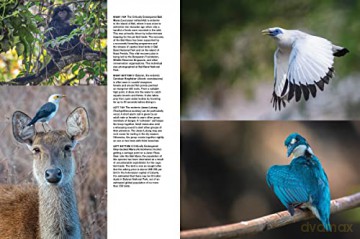 Asias Greatest Wildlife Sanctuaries - Fanny Lai [KSIĄŻKA]